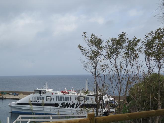 Why we do not act against the ailanthus, which is an invasive species too?