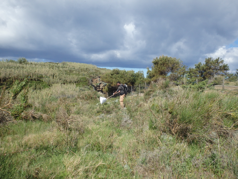 Monitoring of invertebrates