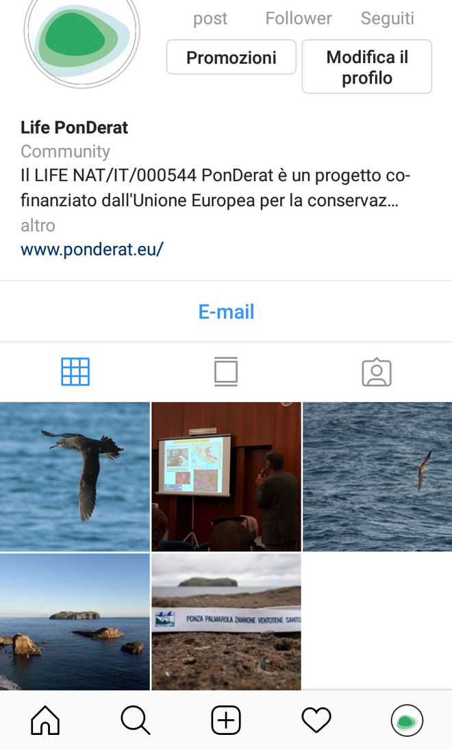 LIFE PonDerat now on Instagram