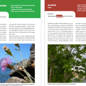 A new "PonDerat" publication. Plants of interest in coastal environments - Picture n. 1